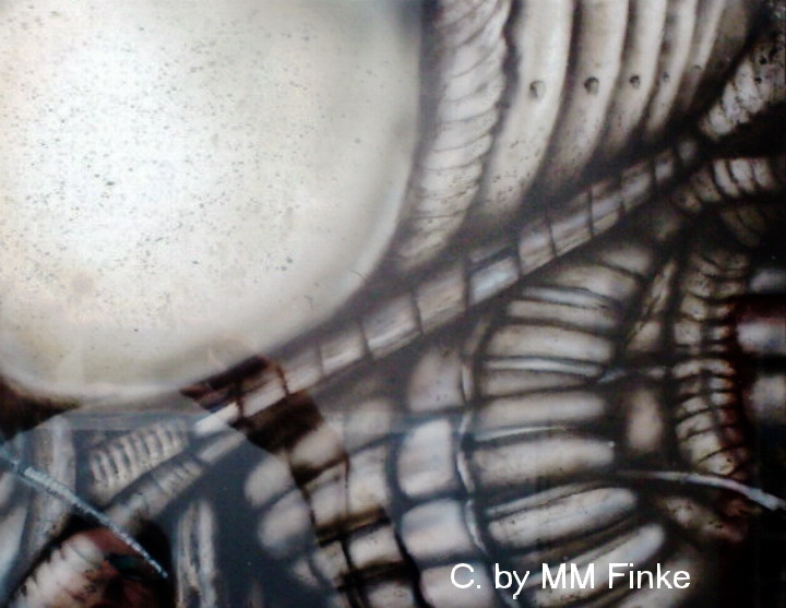 Detail EVE